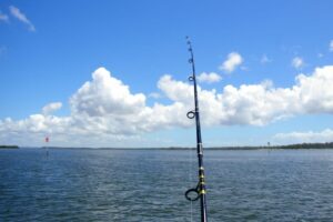Best-Fishing-Rod